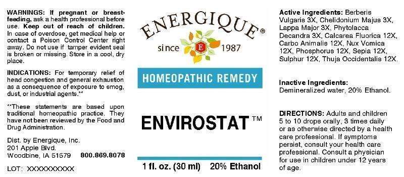 Envirostat